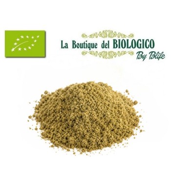 Farina di canapa bio 100 g (SFUSA)
