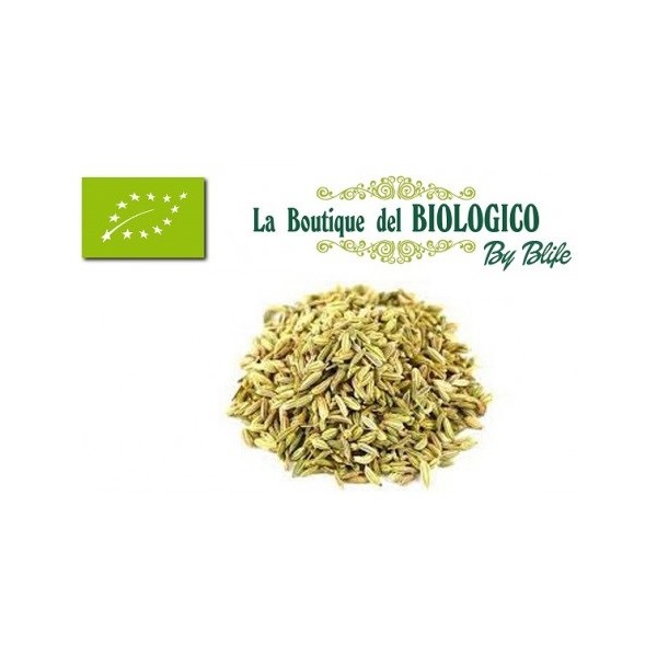 Semi di finocchio bio Italia 100 g (SFUSI)