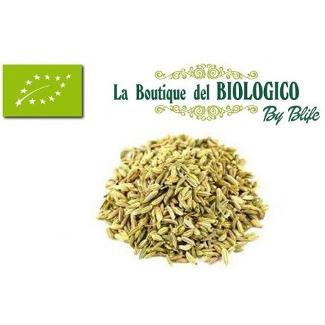 Semi di finocchio bio Italia 100 g (SFUSI)