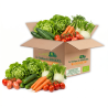 Box bio verdura CRUDITE' (2 Kg circa)