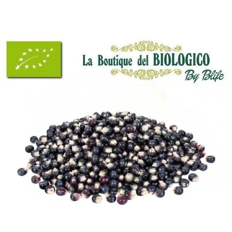 Mais blu bio in grani per popcorn 100 g (sfuso)