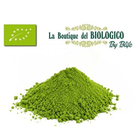 Tè matcha in polvere bio 20 g (SFUSO)