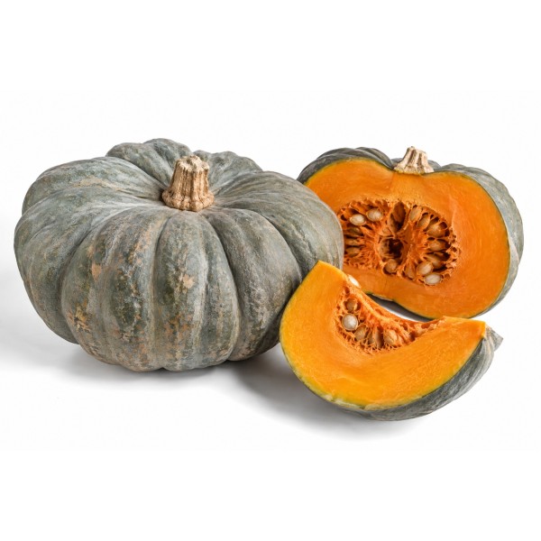 Zucca Mantovana bio 3 Kg c.ca