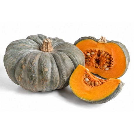 Zucca Mantovana bio 3 Kg c.ca