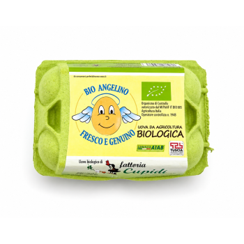 Uova biologiche 6 pz Fattoria Cupidi