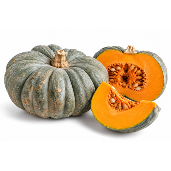 Zucca Mantovana bio 5 Kg c.ca
