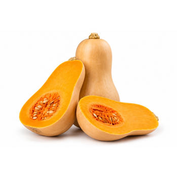 Zucca Butternut bio 1,5 Kg c.ca