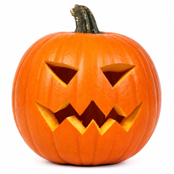 Zucca Halloween da intagliare bio 1 pz da 1,8 kg c.ca