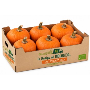 Zucca Halloween da intagliare bio 15 kg c. ca (6 pz da 2,5 kg c.ca)