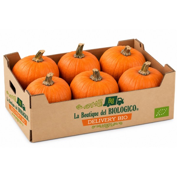 Zucca Halloween da intagliare bio 15 kg c. ca (6 pz da 2,5 kg c.ca)