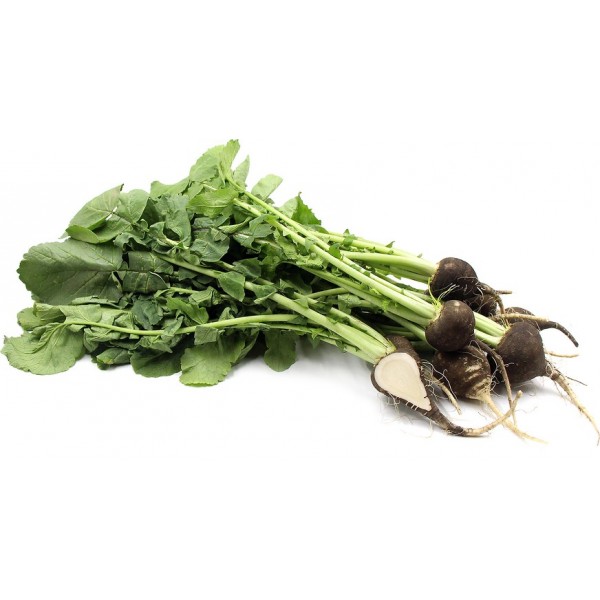 Ramolaccio (Ravanello nero) bio 500 g