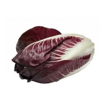 Radicchio precoce rosso bio 250 g