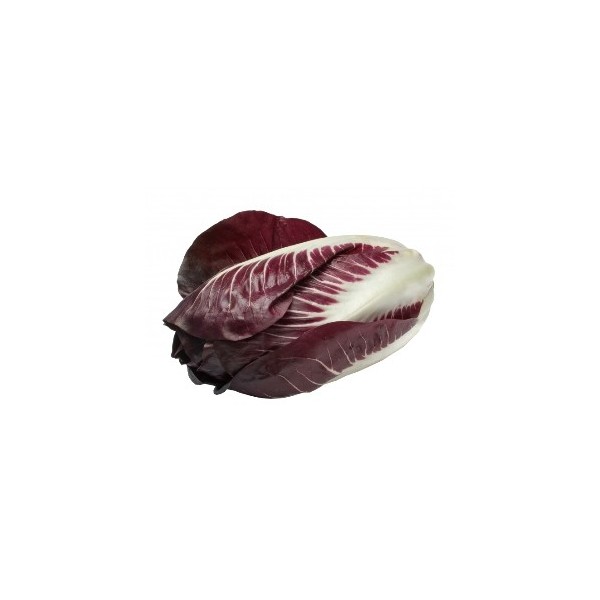 Radicchio precoce rosso bio 250 g