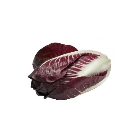 Radicchio precoce rosso bio 250 g