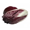 Radicchio precoce rosso bio 250 g