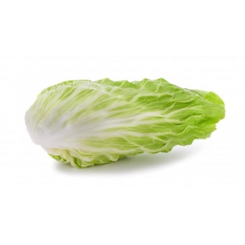 Radicchio Pan di Zucchero bio 500 g c.ca