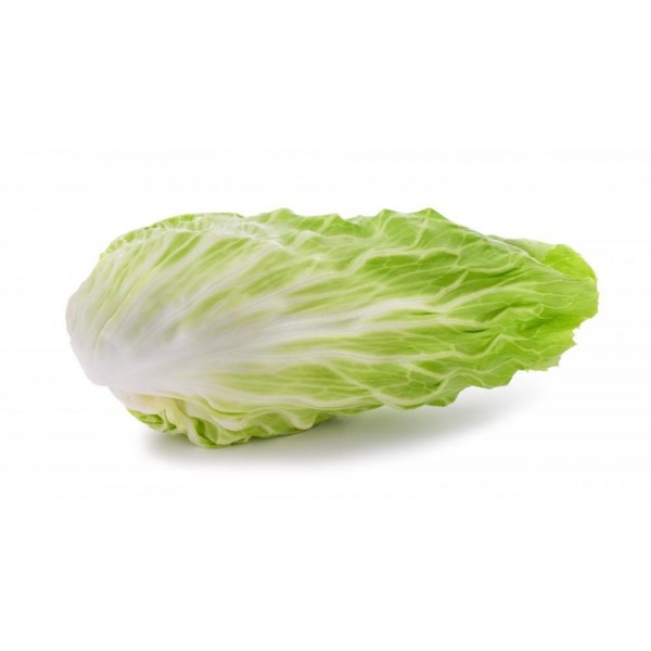 Radicchio Pan di Zucchero bio 500 g c.ca