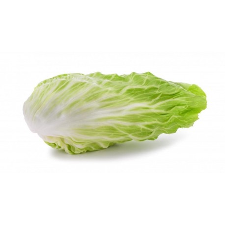 Radicchio Pan di Zucchero bio 500 g c.ca