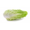 Radicchio Pan di Zucchero bio 500 g c.ca