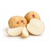 Patate bianche bio 1 Kg
