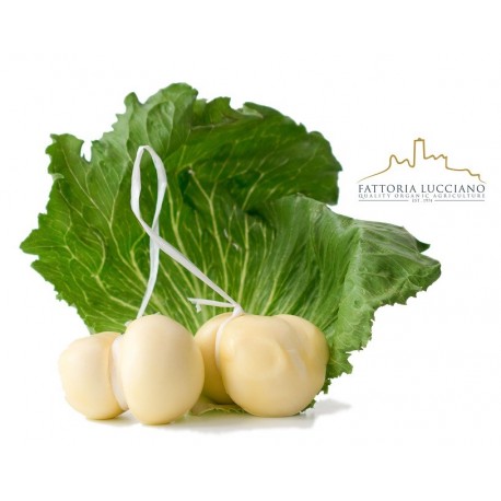 Scamorza fresca bio artigianale 220 g c.a
