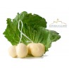 Scamorza fresca bio artigianale 220 g c.a