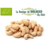 Anacardi interi bio 100gr (SFUSI)
