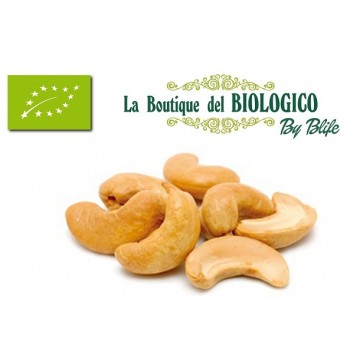 Anacardi spezzati bio 100 g (SFUSI)