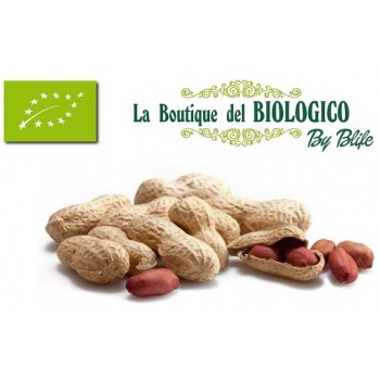 Arachidi tostate in guscio bio 100 g (SFUSE)