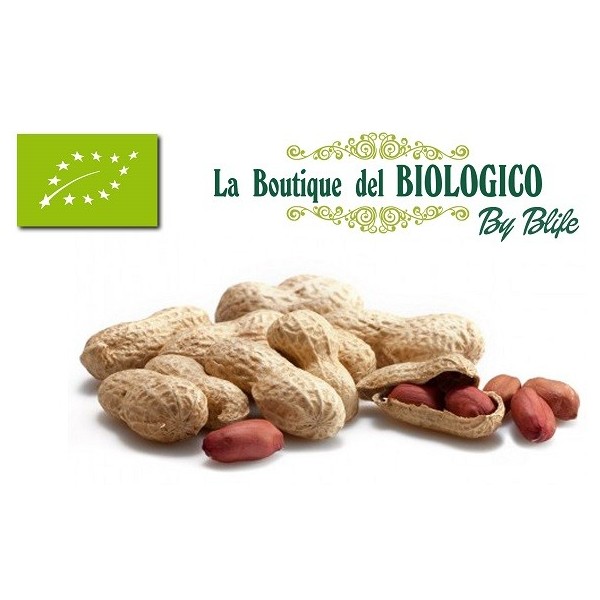 Arachidi tostate in guscio bio 100 g (SFUSE)