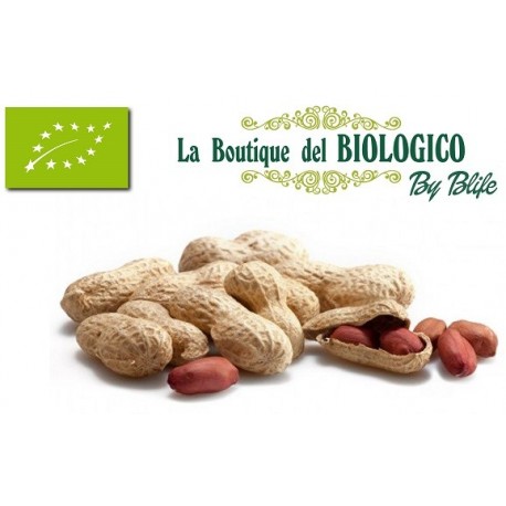 Arachidi tostate in guscio bio 100 g (SFUSE)