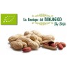 Arachidi tostate in guscio bio 100 g (SFUSE)