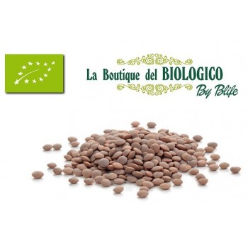 Lenticchie bio 100 gr (SFUSO)