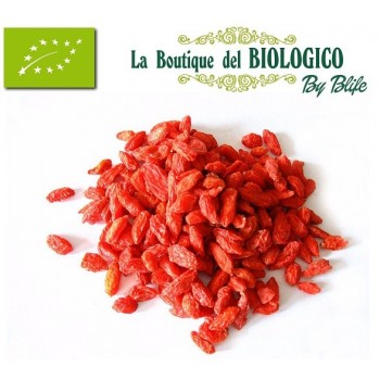 Bacche di goji bio 100 gr (SFUSE)