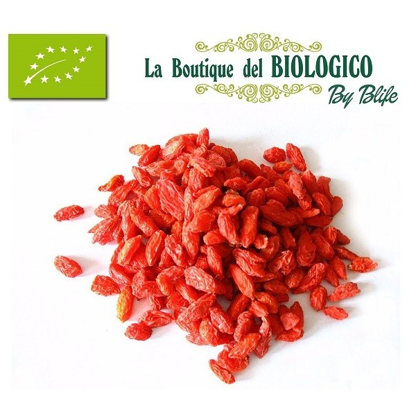 Bacche di goji bio 100 gr (SFUSE)