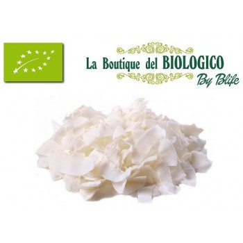 Cocco a scaglie bio 100 g (SFUSO)