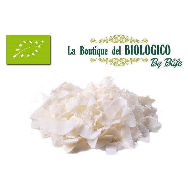 Cocco a scaglie bio 100 g (SFUSO)
