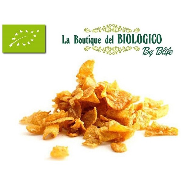 Corn flakes bio 100 gr SFUSO