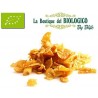 Corn flakes bio 100 gr SFUSO