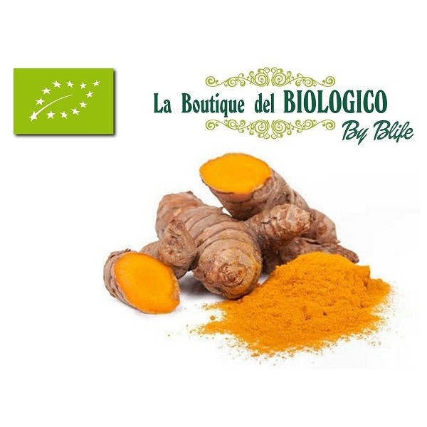 Curcuma bio in polvere 100 g (SFUSA)