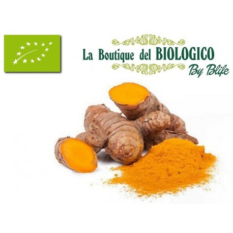Curcuma bio in polvere 100 g (SFUSA)