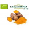Curcuma bio in polvere 100 g (SFUSA)