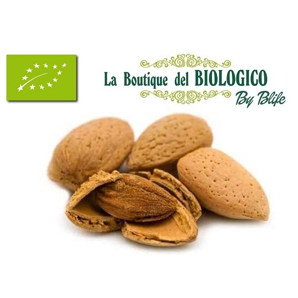 Mandorle in guscio bio 100 g (SFUSE)