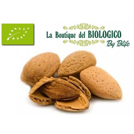 Mandorle in guscio bio 100 g (SFUSE)