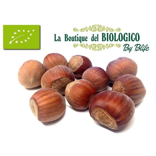 Nocciole in guscio bio varietà tonda Gentile Romana 100 g (SFUSE)