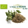 Origano in foglie bio 25 g (SFUSO)