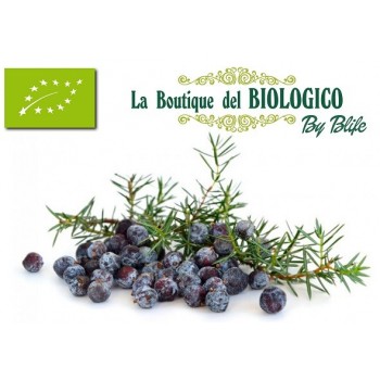 Bacche di Ginepro Bio 50 g (SFUSE)