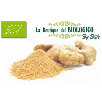 Zenzero in polvere bio 25 gr (SFUSO)