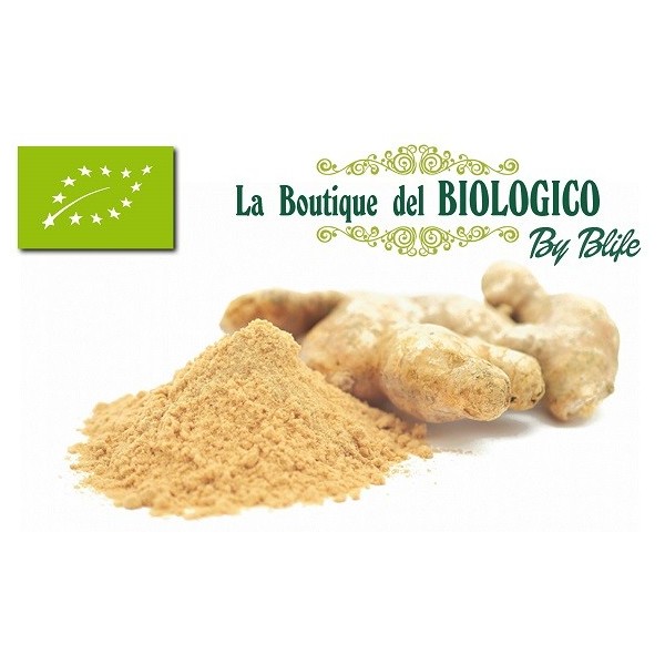 Zenzero in polvere bio 25 gr (SFUSO)
