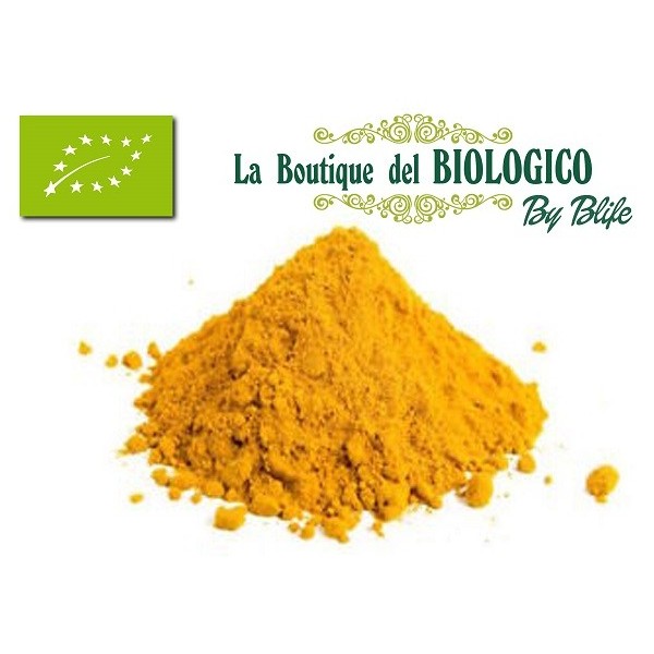 Curry in polvere bio 25 g (SFUSO)